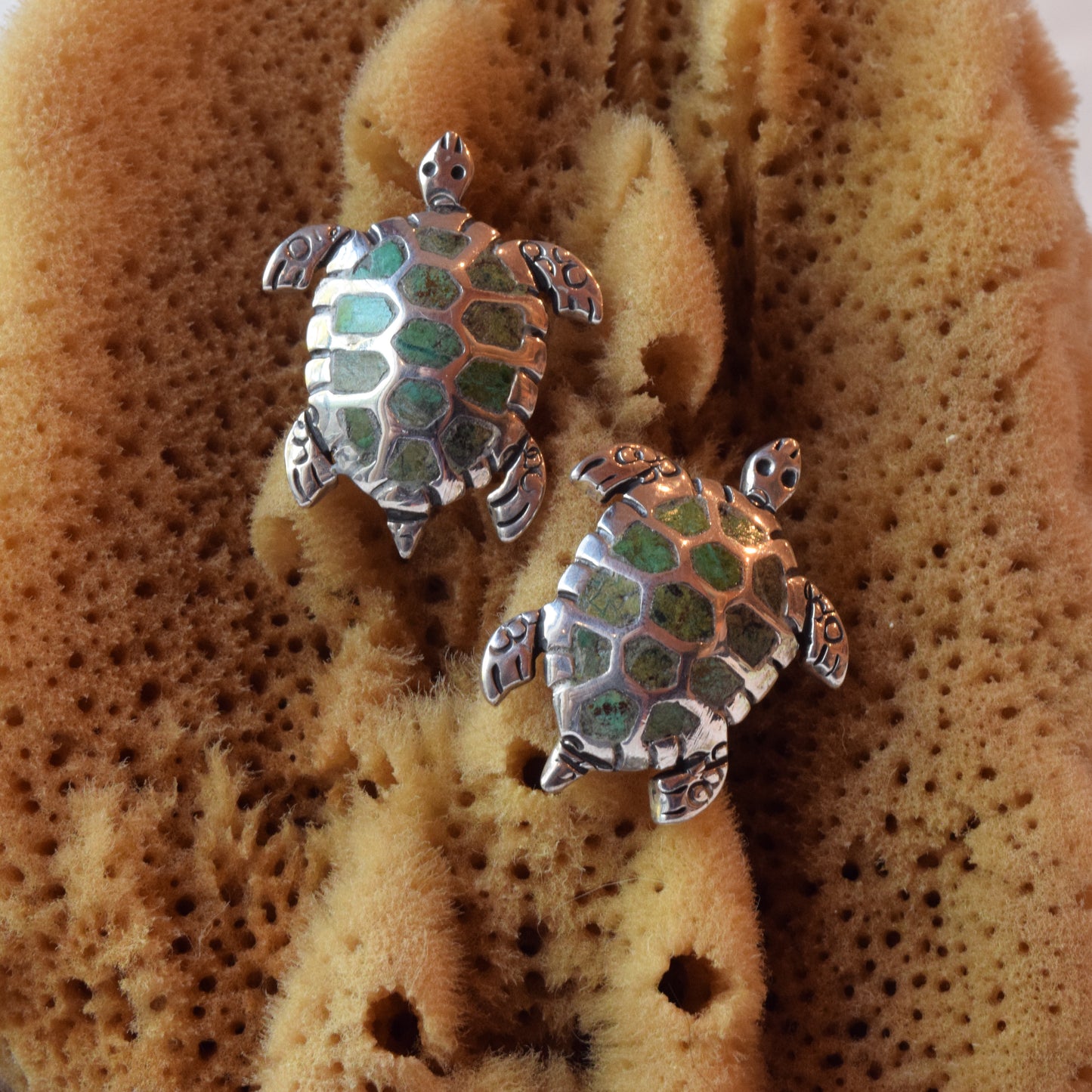 Turtle Earrings