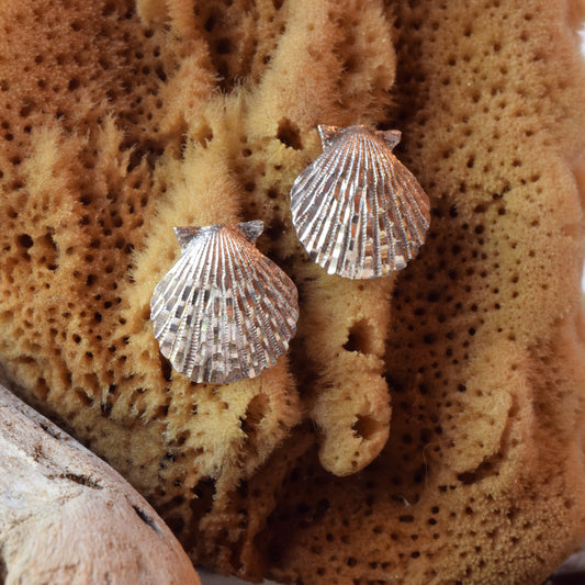 Shell Earrings